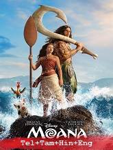Moana