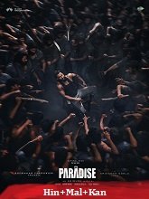 The Paradise