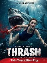 Thrash